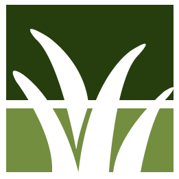 Madison Lawn Clean Up