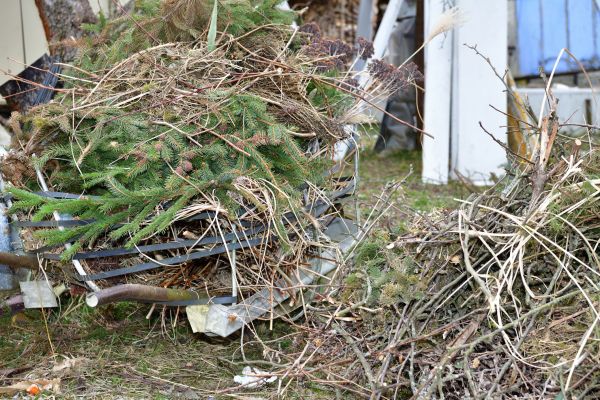 Yard Debris Removal in Madison