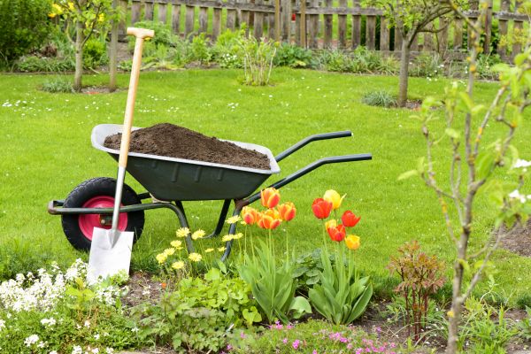 Cost of Spring Yard Cleanup in Madison