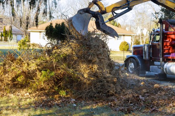 Storm Debris Removal in Madison