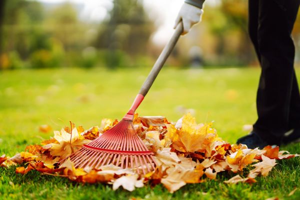 Cost of Ditch Leaf Removal in Madison