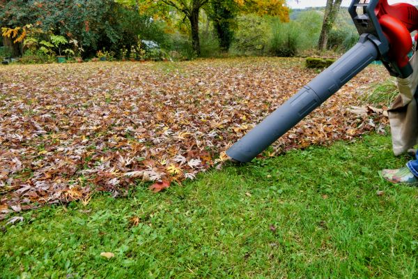 Cost of Leaves Vacuuming in Madison