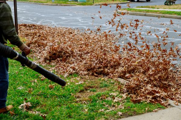 Cost of Garden Leaf Removal in Madison