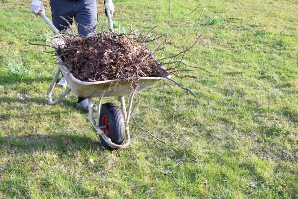 Yard Brush Removal in Madison