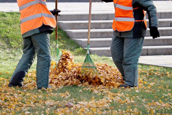 Cost of Leaf Hauling Service in Madison