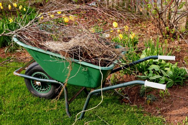 Lawn Waste Removal in Madison