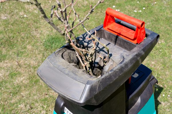 Brush Cleanup Service in Madison