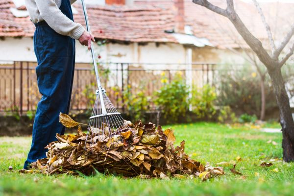 Cost of Fall Yard Cleanup Service in Madison