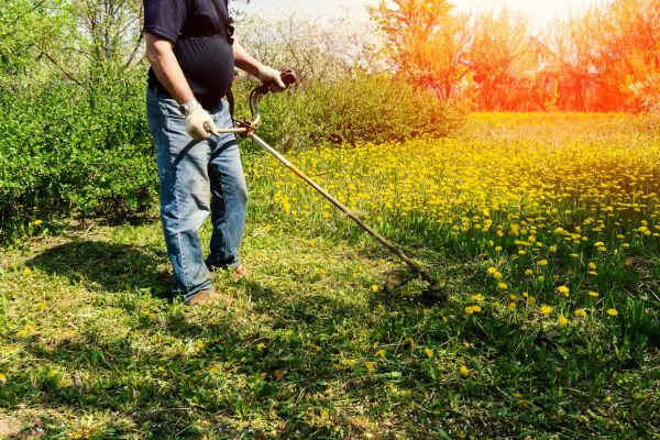 Cost of Yard Clearing Service in Madison