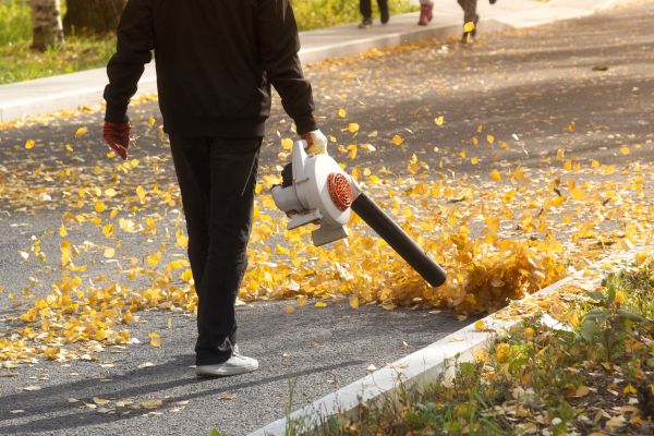 Commercial Leaf Removal in Madison